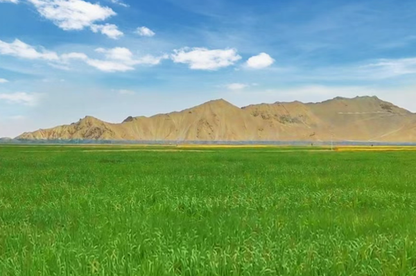 绿色发展核心导向 绘就生态新答卷pg电子平台山东省属国资国企锚定(图2)