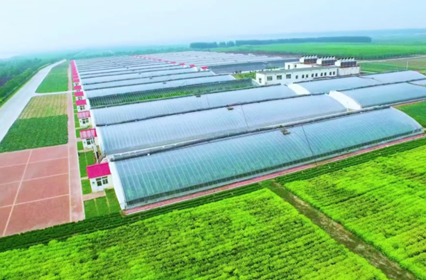 绿色发展核心导向 绘就生态新答卷pg电子平台山东省属国资国企锚定(图3)