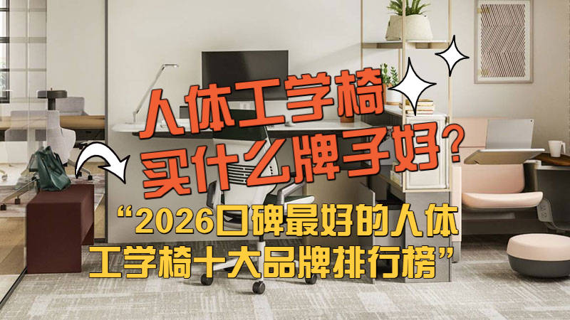 ？2026口碑最好的人体工学椅十大品牌排行榜pg电子模拟器免费试玩人体工学椅买什么牌子好(图4)